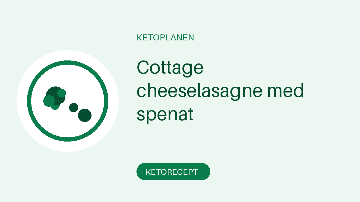 Cottage cheeselasagne med spenat