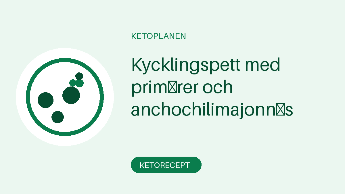 Kycklingspett med primörer och anchochilimajonnäs