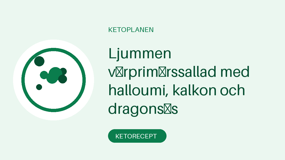 Ljummen vårprimörssallad med halloumi, kalkon och dragonsås