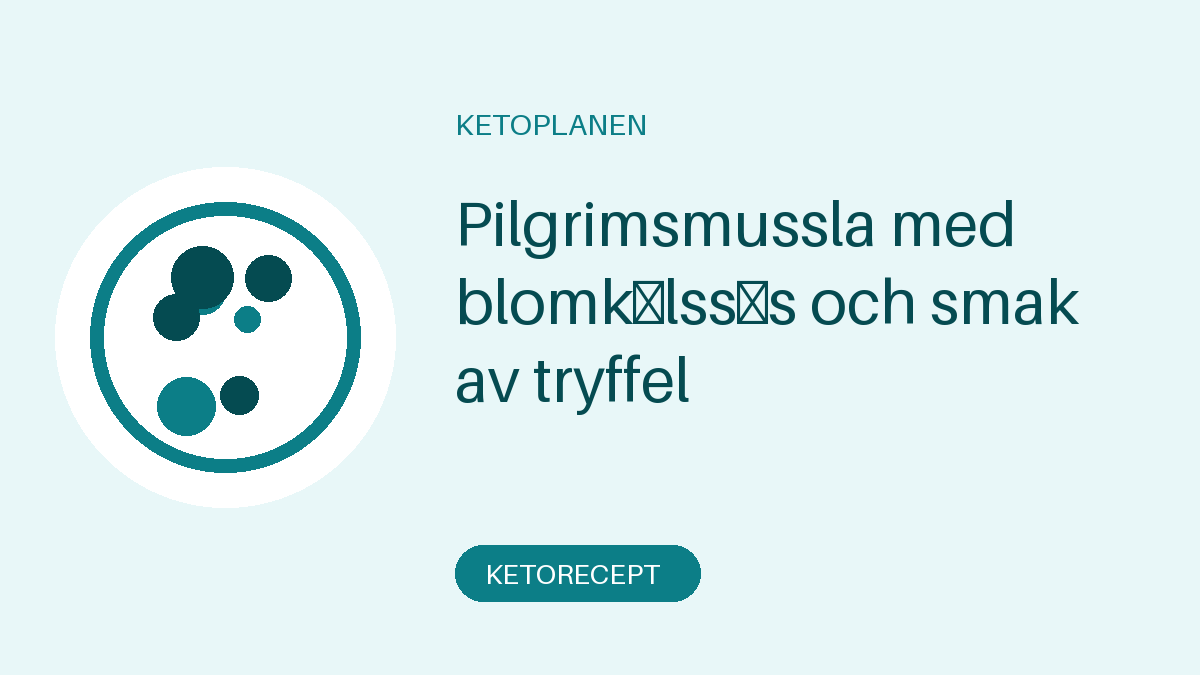 Pilgrimsmussla med blomkålssås och smak av tryffel