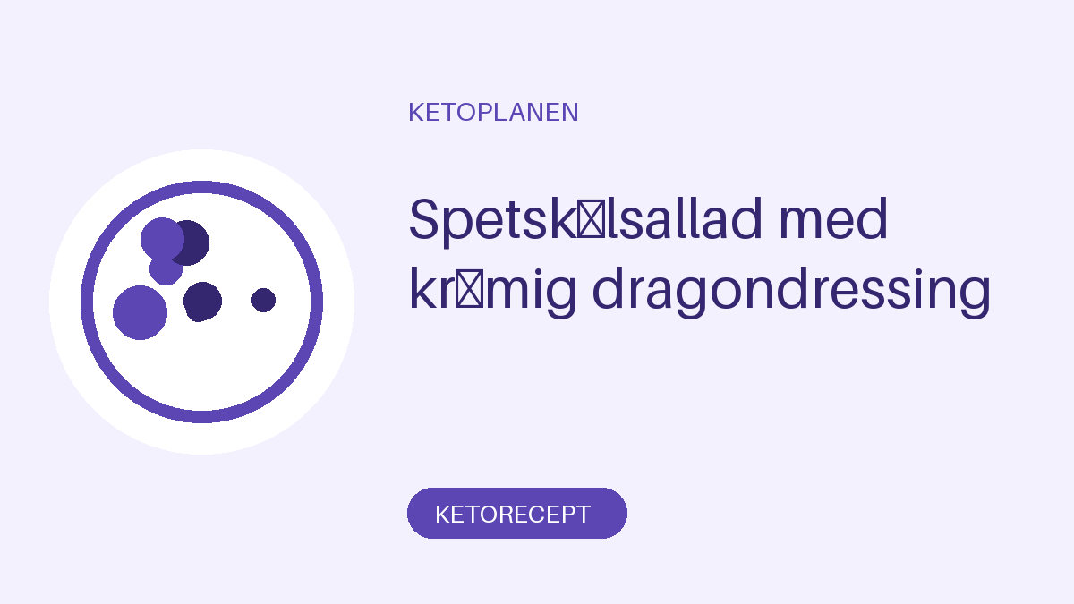 Spetskålsallad med krämig dragondressing