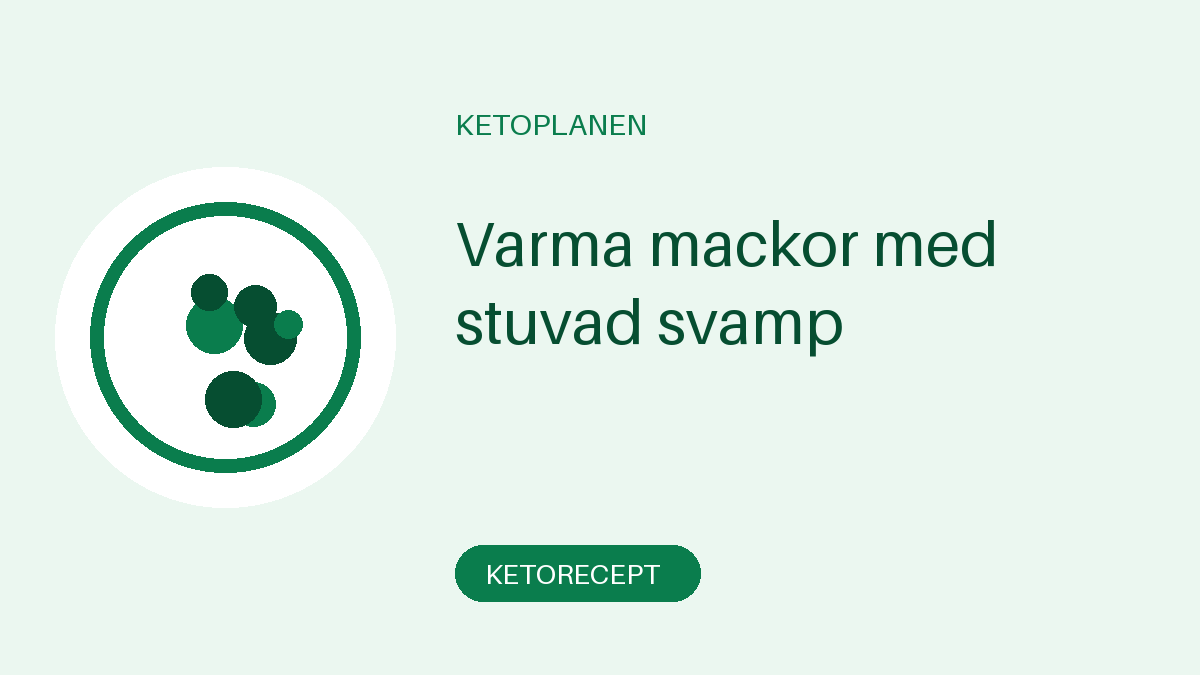 Varma mackor med stuvad svamp