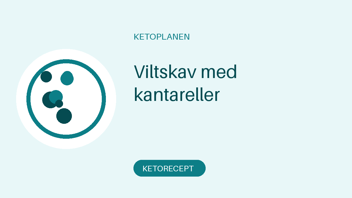 Viltskav med kantareller